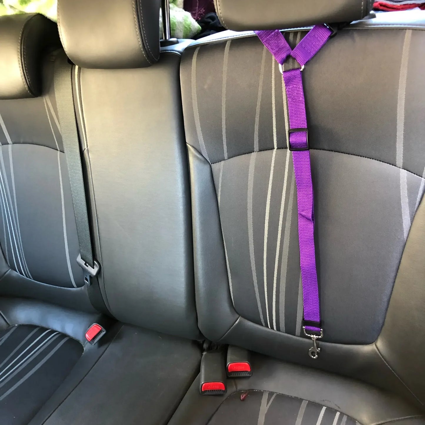 AnimalsShop™ 2-in-1 Adjustable Pet Car Seat Belt and Leash