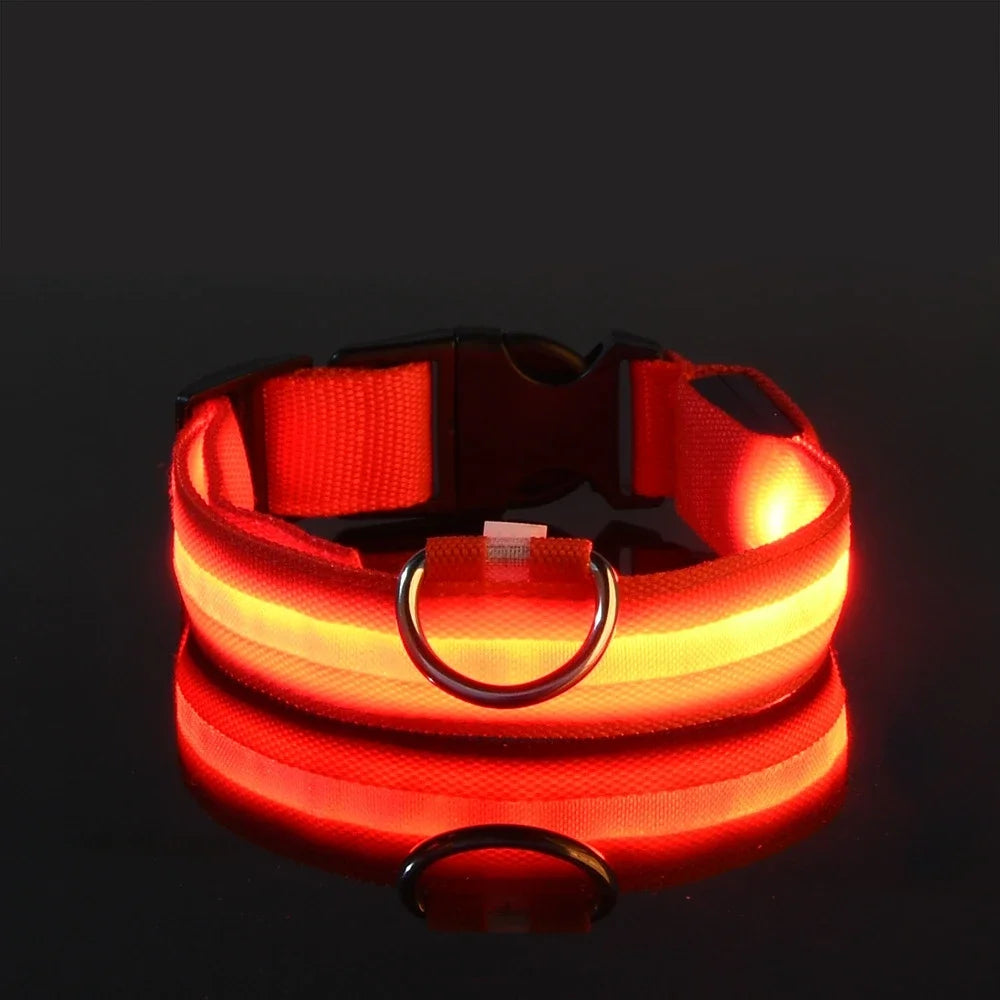 AnimalsShop™ Glow-in-the-Dark LED Dog Collar