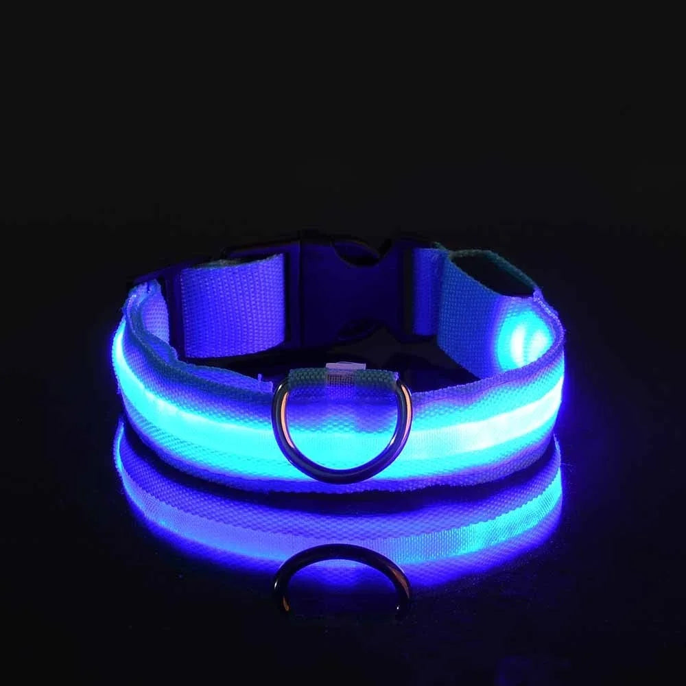 AnimalsShop™ Glow-in-the-Dark LED Dog Collar