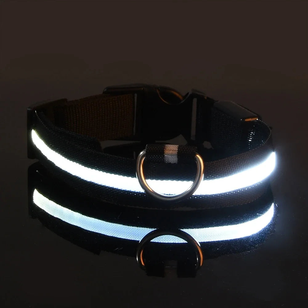 AnimalsShop™ Glow-in-the-Dark LED Dog Collar