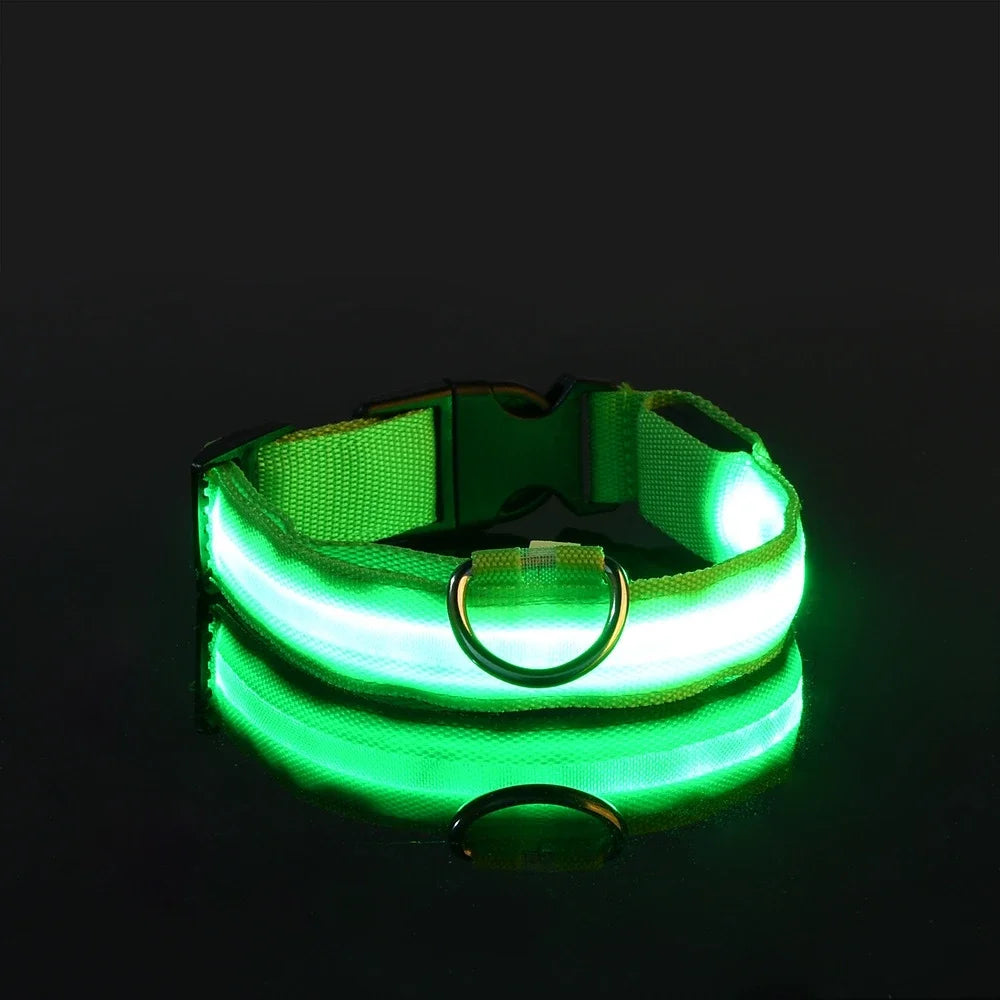 AnimalsShop™ Glow-in-the-Dark LED Dog Collar