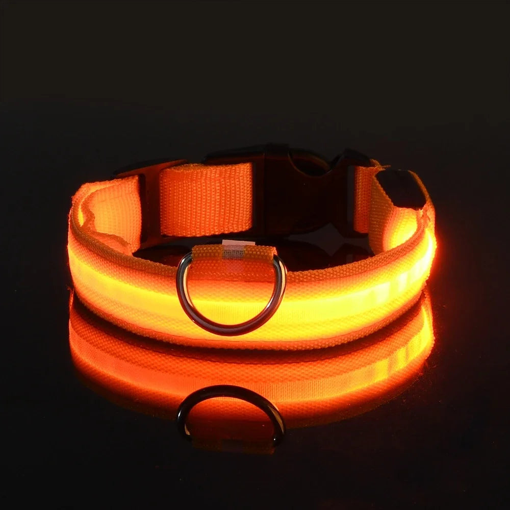 AnimalsShop™ Glow-in-the-Dark LED Dog Collar