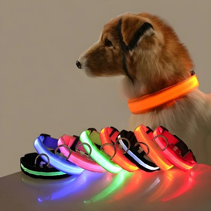 AnimalsShop™ Glow-in-the-Dark LED Dog Collar