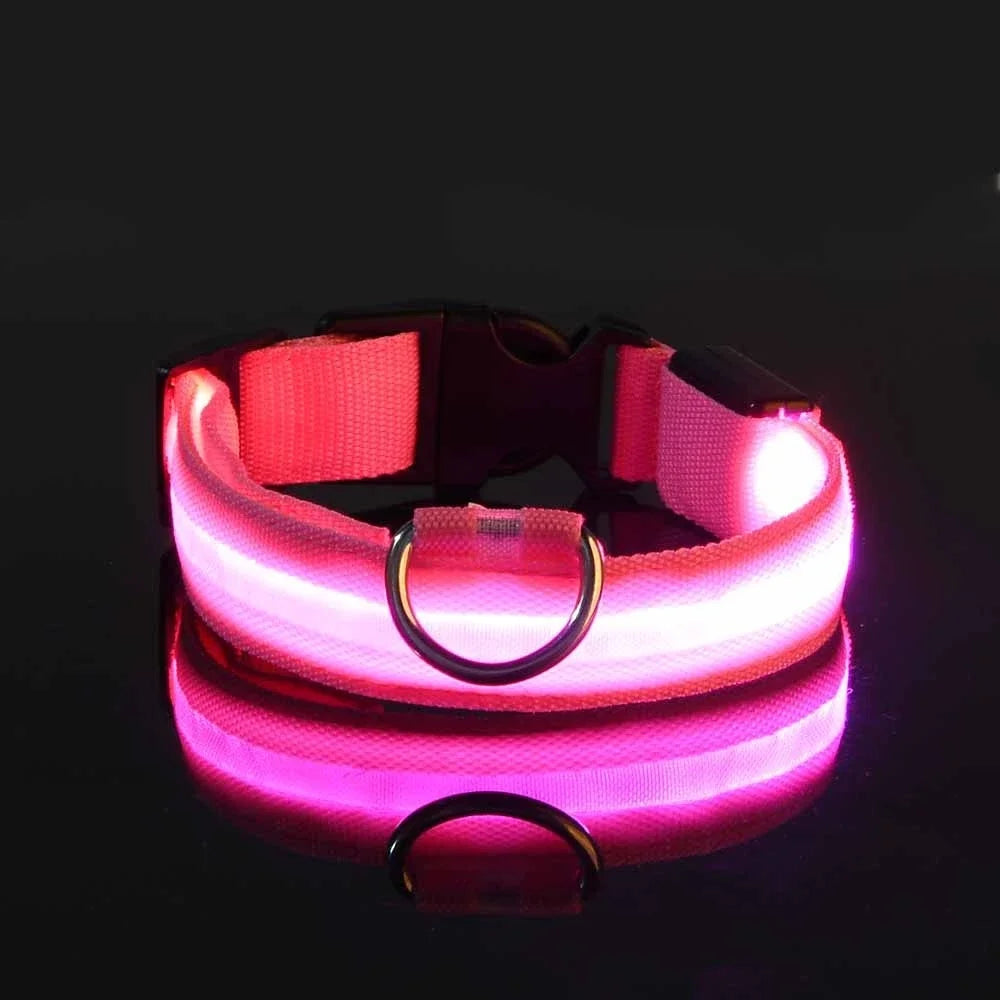 AnimalsShop™ Glow-in-the-Dark LED Dog Collar