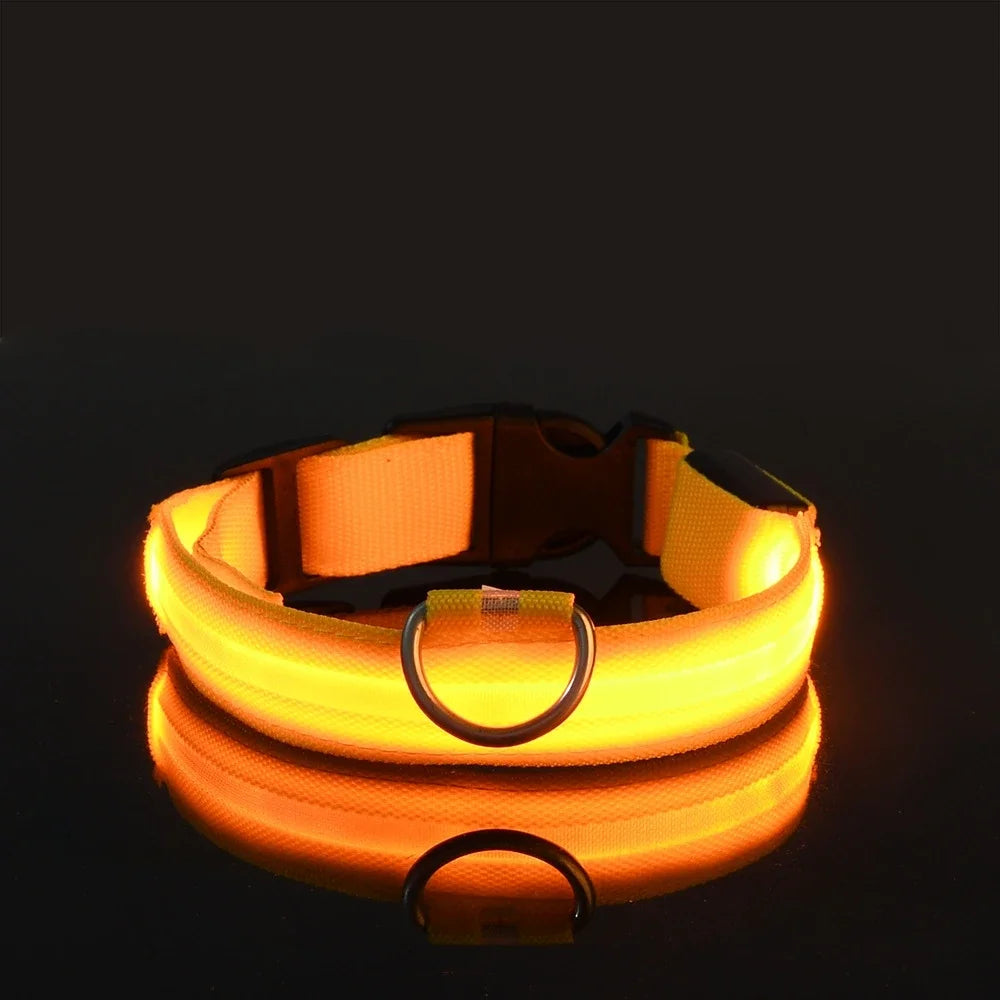 AnimalsShop™ Glow-in-the-Dark LED Dog Collar